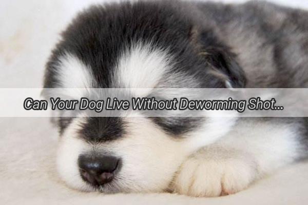 Can Your Dog Live Without Deworming Shots A Surprising Insight into Pet Health